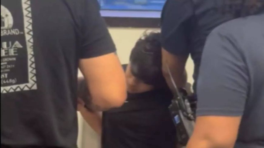 'Will not tolerate illegal entry': US embassy amid Indian student handcuffing row; warns on visa misuse