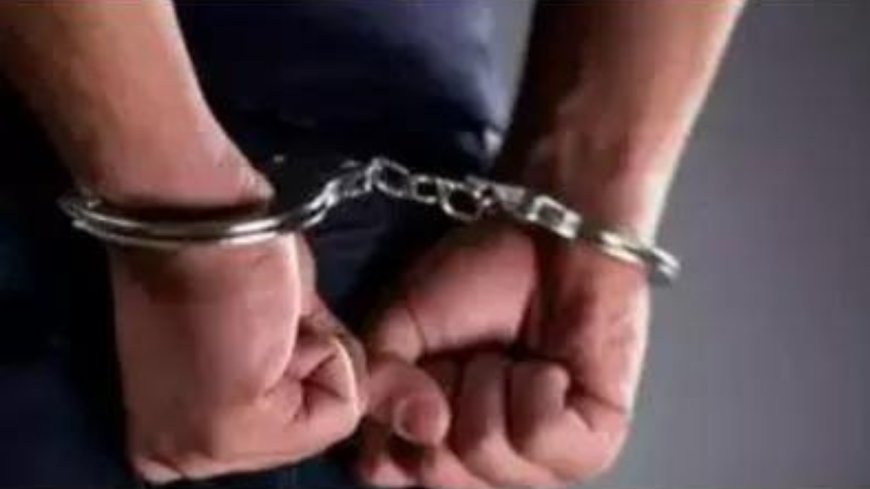 Lawyer jailed for abusing judicial officer