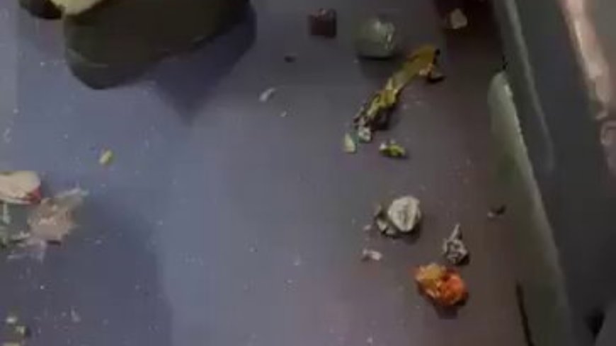 Row over 'dirty' train for BSF, 4 suspended