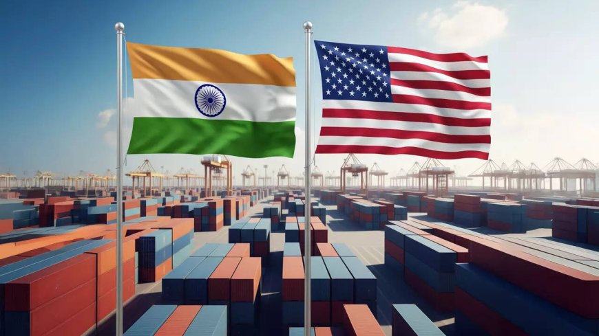 Full India-US trade pact may take time; govt awaits clarity on Trump’s policy