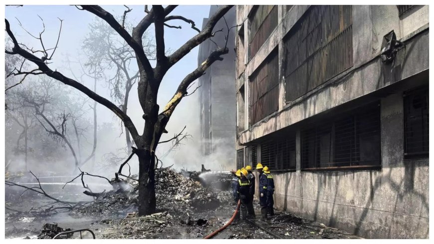 Ahmedabad plane crash: 169 Indians, 53 British nationals - Who all were onboard Air India 171