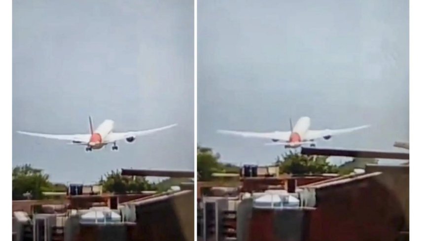 Ahmedabad plane crash: What caused the crash? Engine failure, bird hit among several theories