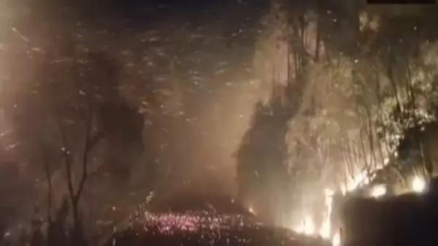 Jammu and Kashmir: Massive forest fire breaks out near NH-144A in Reasi; firefighting efforts underway