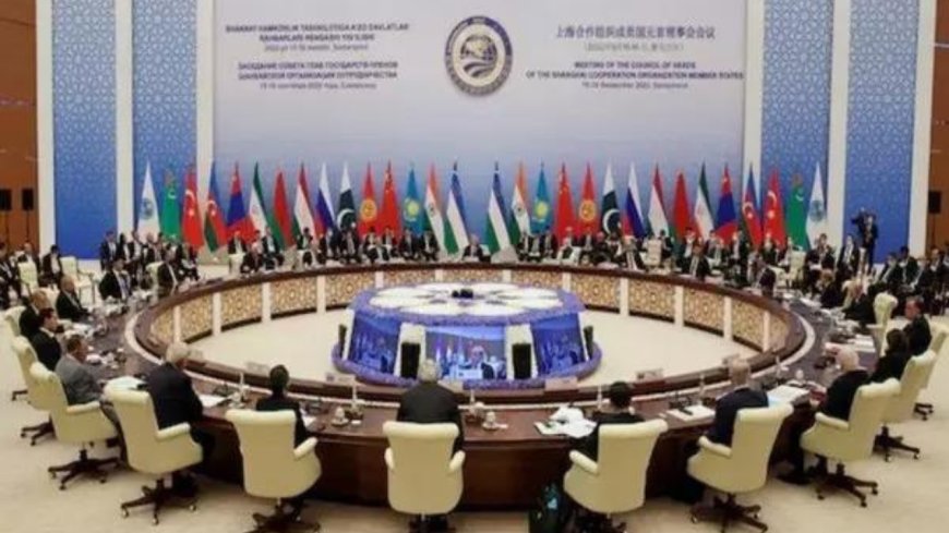 Government abandons SCO statement condemning Israel