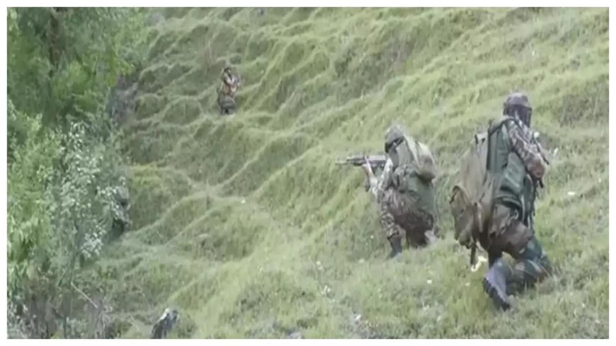 Operation Bihali: 1 terrorist killed by forces in J&K's Basantgarh; encounter under way
