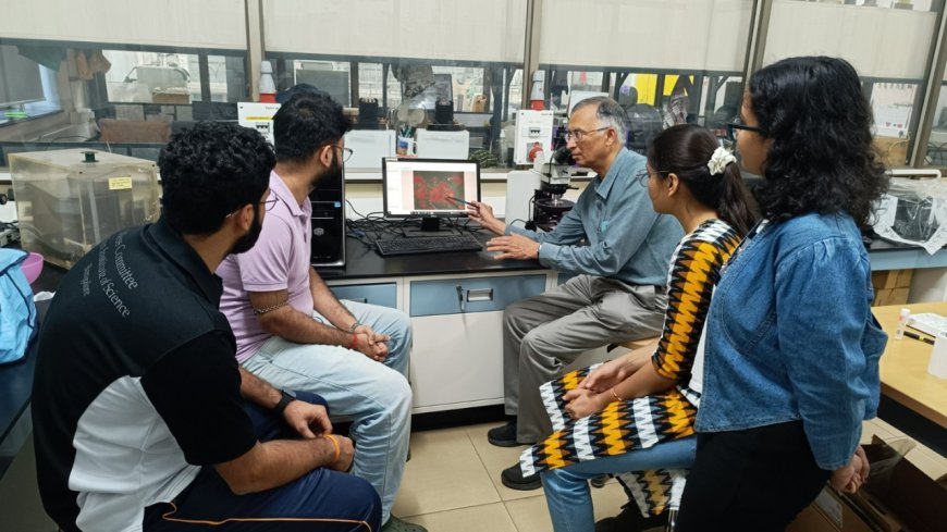 IISc team creates glowing sensor for liver cancer detection