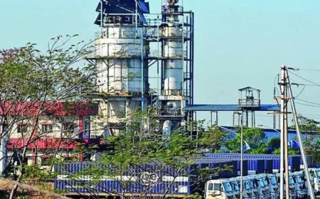 41 years on, Bhopal disaster waste incinerated