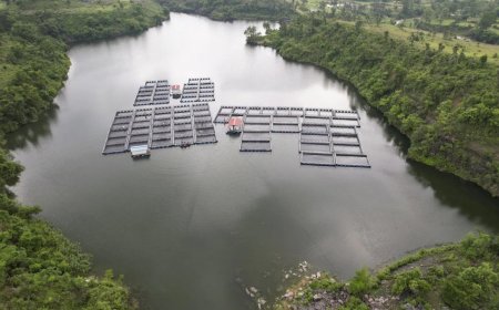 Flood alert sounded in Jharkhand's Ramgarh as rivers are in spate