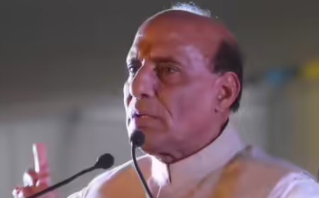 Reserve right to pre-emptive hits on terror, Rajnath tells US