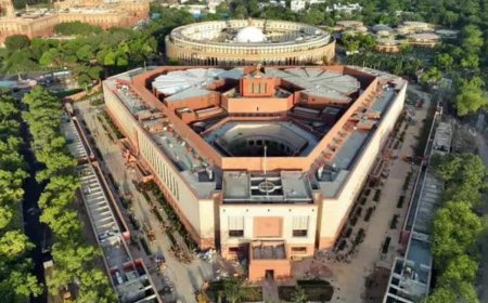 BJP MPs walk out of Parliament panel meeting over Medha Patkar's proposed testimony