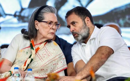 ED arguments over in Herald case, it's Gandhis' turn now