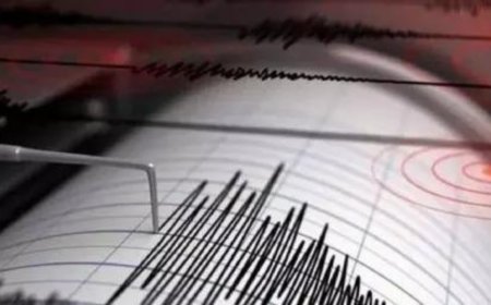 3.7-magnitude earthquake hits Haryana's Jhajjar, tremors felt in Delhi-NCR; second in 2 days
