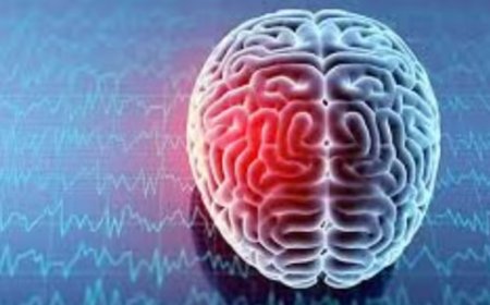 9 Japanese Encephalitis cases reported in Nagaland in 2025, health department issues advisory