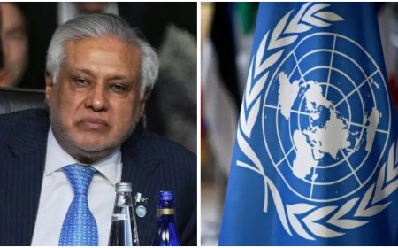 As UNSC president, Pakistan looks to up ante on Kashmir issue