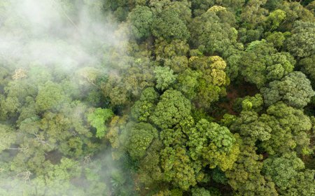 Environment ministry justifies tweak in sulphur dioxide emission norms for TPPs, calling it a pragmatic shift