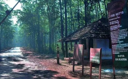 Maoist mines turn Saranda's forest into jumbo killing fields