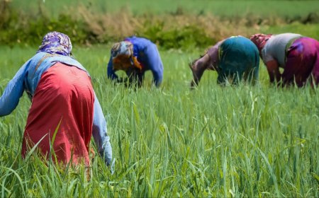 At grassroots against hunger, malnutrition