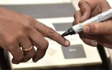 Bihar: Contact voters individually to complete forms under SIR - Election Commission