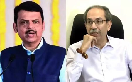 'Can come to the ruling side': Fadnavis offers Uddhav Thackeray, says BJP not going to be in opposition 'at least till 2029'