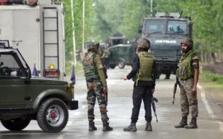 Jaish ultra killed in Basantgarh operation was a top commander: J&K DGP