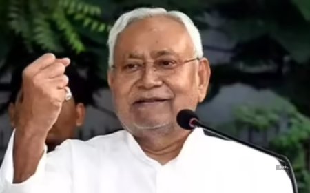 Ahead of Bihar polls Nitish Kumar announces key scheme: Free electricity upto 125 units from August 1 - details