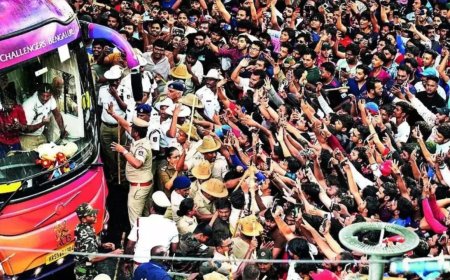 'Lack of proper planning, no safety arrangements': Karnataka govt blames RCB, Virat Kohli video, organisers for Bengaluru stampede - 10 things the report said