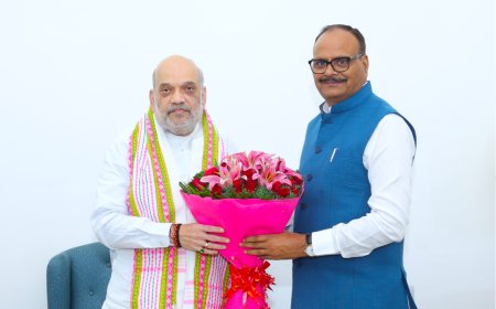 UP deputy CM Brajesh Pathak sees Amit Shah in New Delhi; calls the meet ‘insightful guidance’
