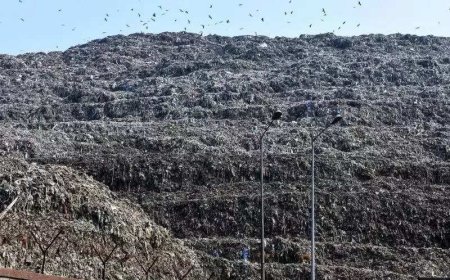 Centre to roll out special programme for remediation of 44% of legacy waste within a year