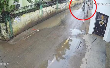 Patna hospital murder: New footage shows gunmen celebrating on street after mafia-style ICU hitjob - Watch