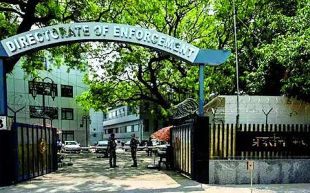 ED raids 22 Punjab de-addictioncentres for illegal sale of drugs