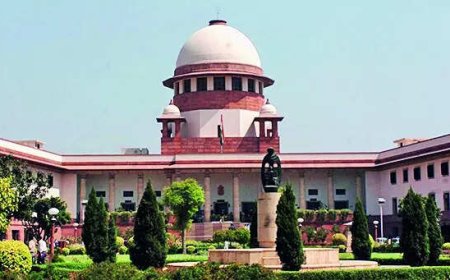 Set up new NIA courts by Sept, SC tells govts