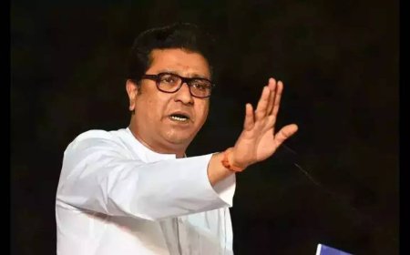 Language row: PIL filed in SC against Raj Thackeray; MNS chief accused of inciting violence