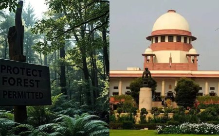 ‘Fake permission’: Delhi forest dept to Supreme Court on tree felling in Ridge area; forged document used for Vasant Kunj housing project