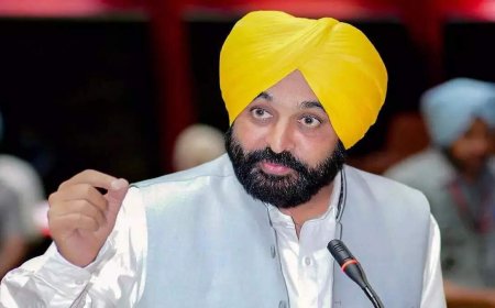 Strong support from farmers for Punjab’s land pooling policy, scheme called a ‘model for the future’