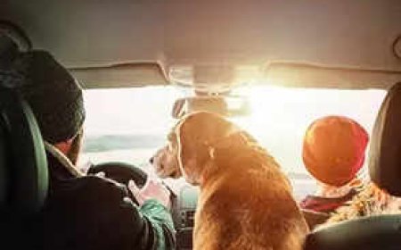 With juvenile on board, pay 2x fine for breaking traffic rules