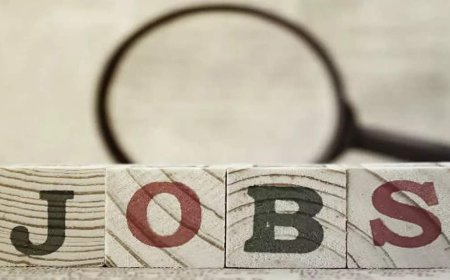 Congress cheating youth with ‘job trainee’ scheme, says Himachal BJP chief; claims only politically connected getting hired