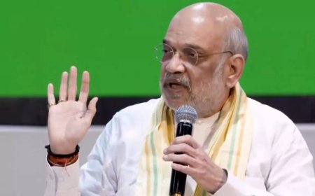 Set up multi-sectoral team for natural disasters, says Amit Shah