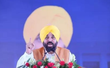 Punjab Police steps up vigil: Mann government deploys anti-drone measures to curb cross-border smuggling