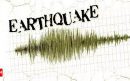3.2 magnitude earthquake strikes Haryana; epicentre in Faridabad - key details