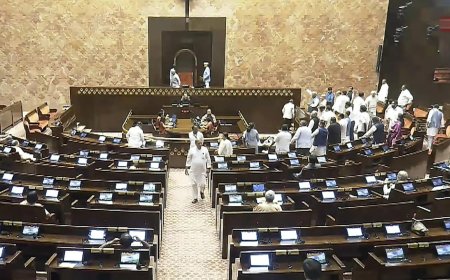 Vice President election after Jagdeep Dhankhar's exit: How numbers stack up in Parliament? Who has the numbers?