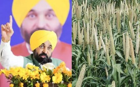 Punjab government rolls out Land Pooling policy; promises farmer welfare and higher compensation