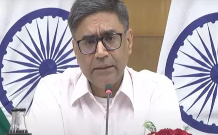 India helping Maldives stabilise its 'stressful financial' situation: Foreign secretary Misri