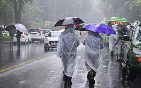 Infra, roads raising night temps in cities by 3-4 degrees, Delhi vulnerable to floods: Report