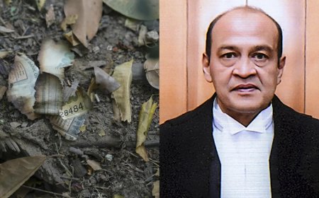 Justice Varma case: Supreme Court sets up special bench; CJI Gavai recuses himself