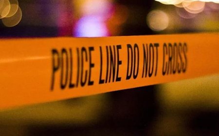 ‘They could have killed him’: Irish woman details Dublin mob attack on Indian man; says paedophile claim was false