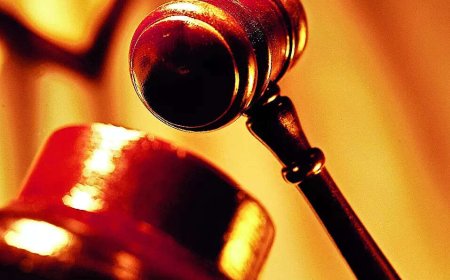 Court says relationship consensual, grants bail to Mumbai school teacher