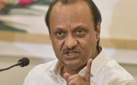 'Just say- we respect and will try to learn it': Ajit Pawar's suggestion to non-Marathi speakers in the state; Maha language echoes in parliament