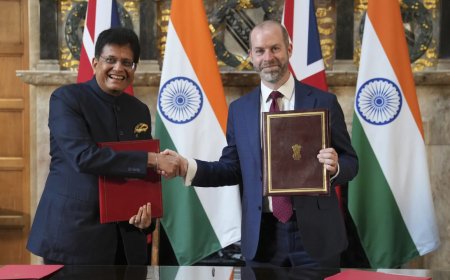 Visa boost for desi professionals, chefs in trade agreement