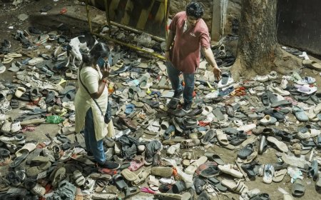 RCB, Karnataka cricket body to face action for stampede