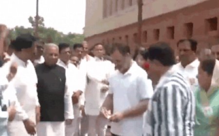 Watch: Rahul Gandhi, Priyanka Gandhi, Dimple Yadav tear SIR placards, throw them in bin; protest enters fifth day of monsoon session